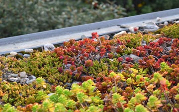 the cost of Erwarton green roof installation