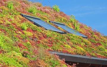 Erwarton living roof systems