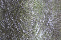 Erwarton fibreglass roof work