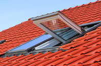 Erwarton roof window